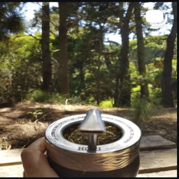 Mate imperial con tapa en el bosque